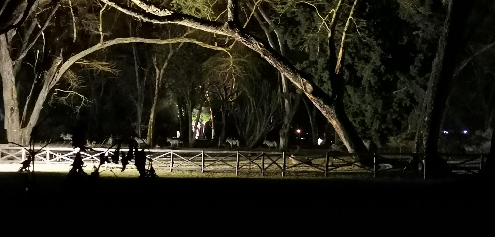 Wenn ein Nachtspaziergang vor der Zimmertür lockt