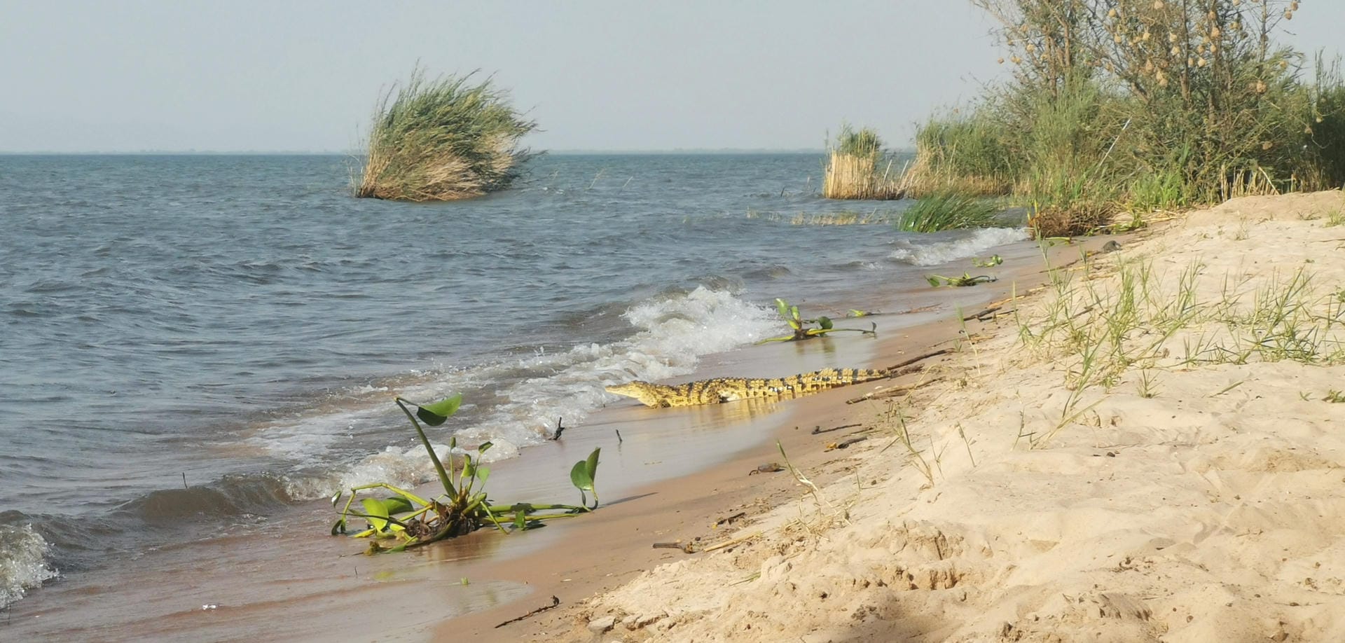 Lass Tieren ihren Freiraum, auch wenn ein paar Schritte näher auch gehen würde