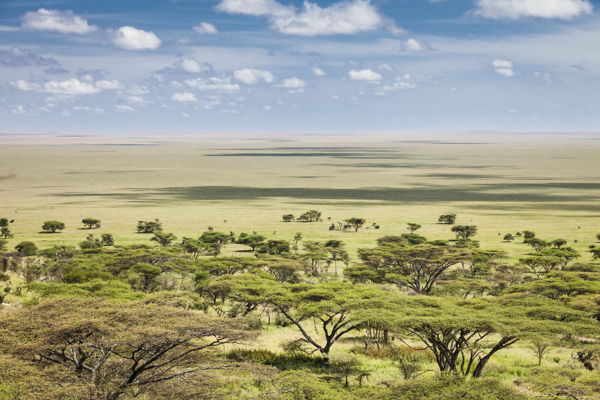 Serengeti, Tansania