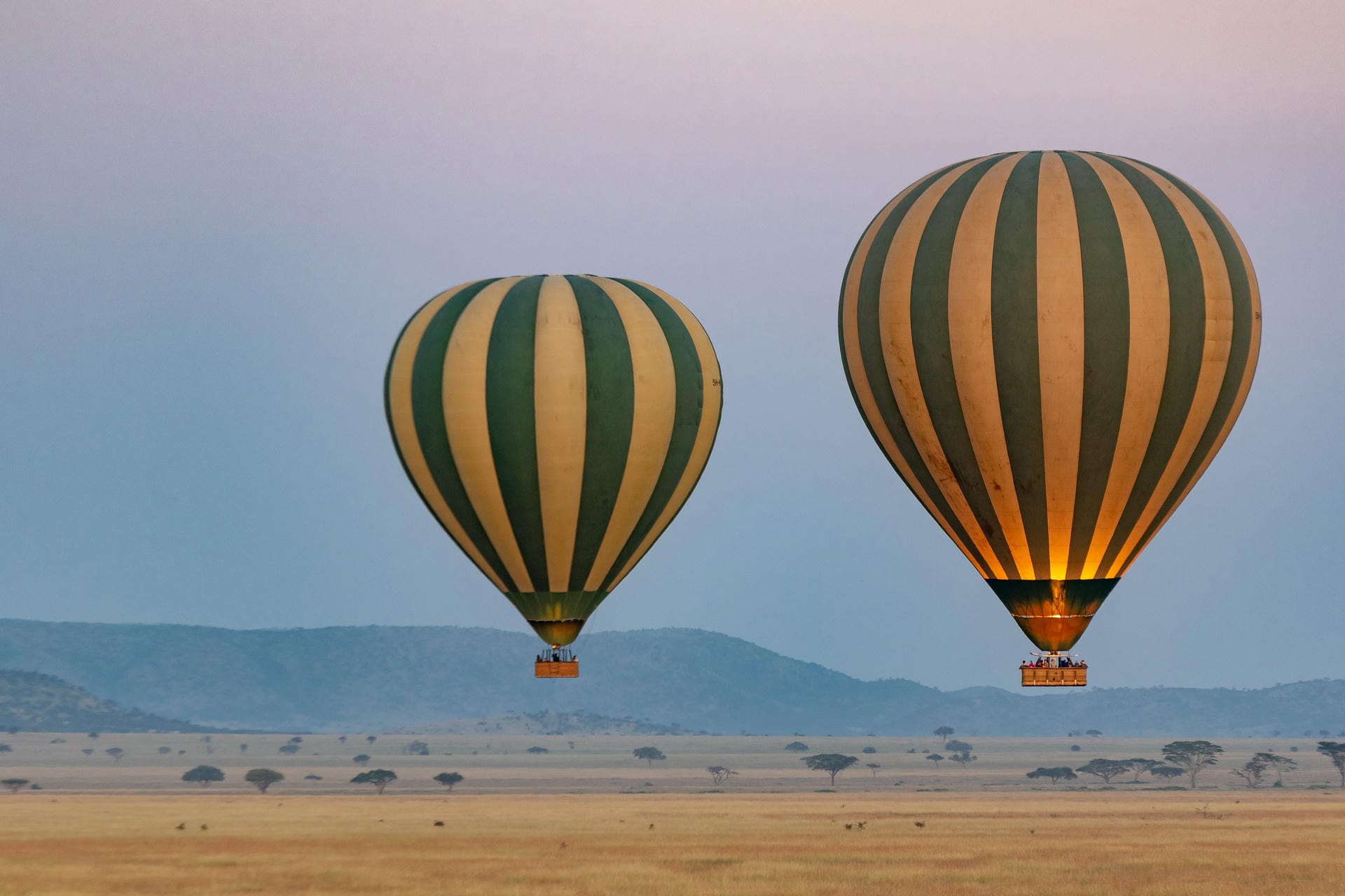 Entdecke auf einer Ballon-Safari die Serengeti von oben