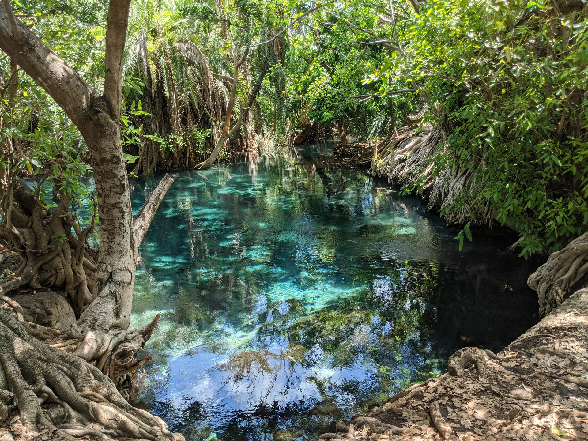 Die Kikuletwa Hot Springs in der Nähe von Moshi