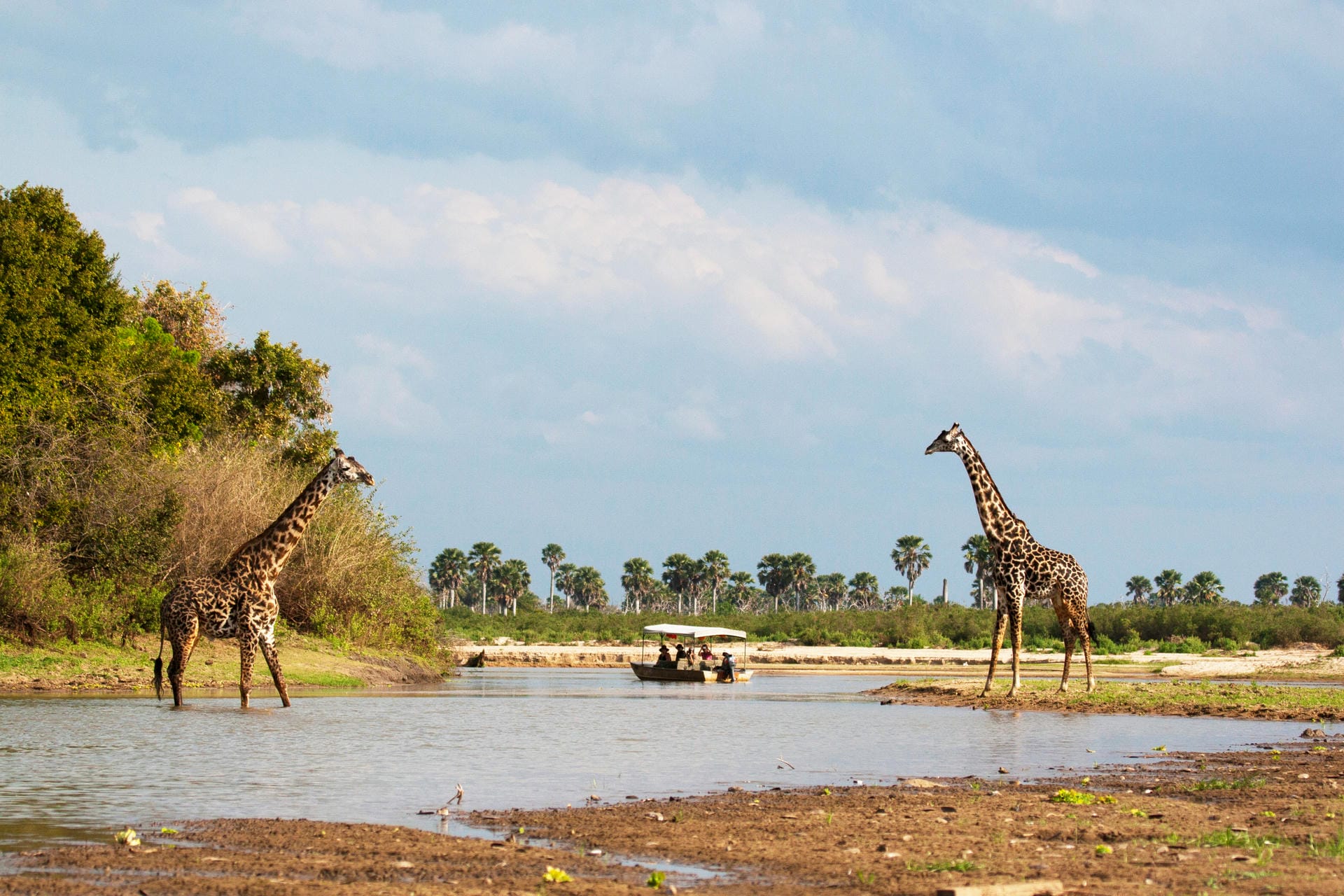 Bootsafari auf dem Rufiji River