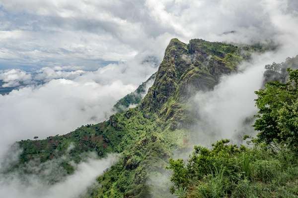 Im Nebel der Usambara Mountains