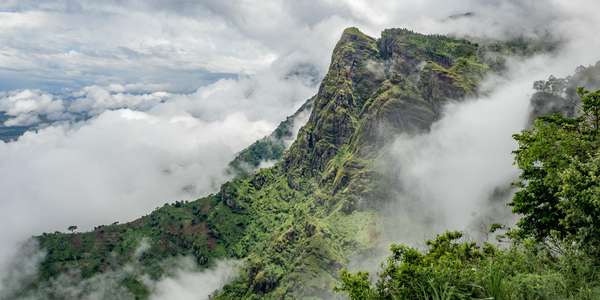 Im Nebel der Usambara Mountains