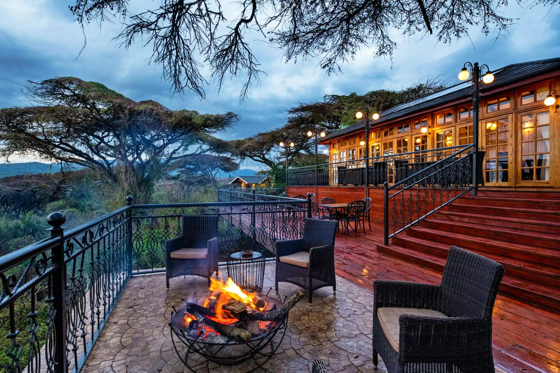 Ngorongoro Lions Paw by Karibu (Tansania)