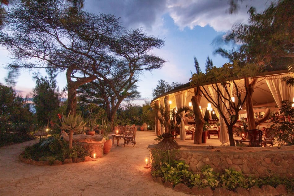 Kibo Safari Camp (Kenia)