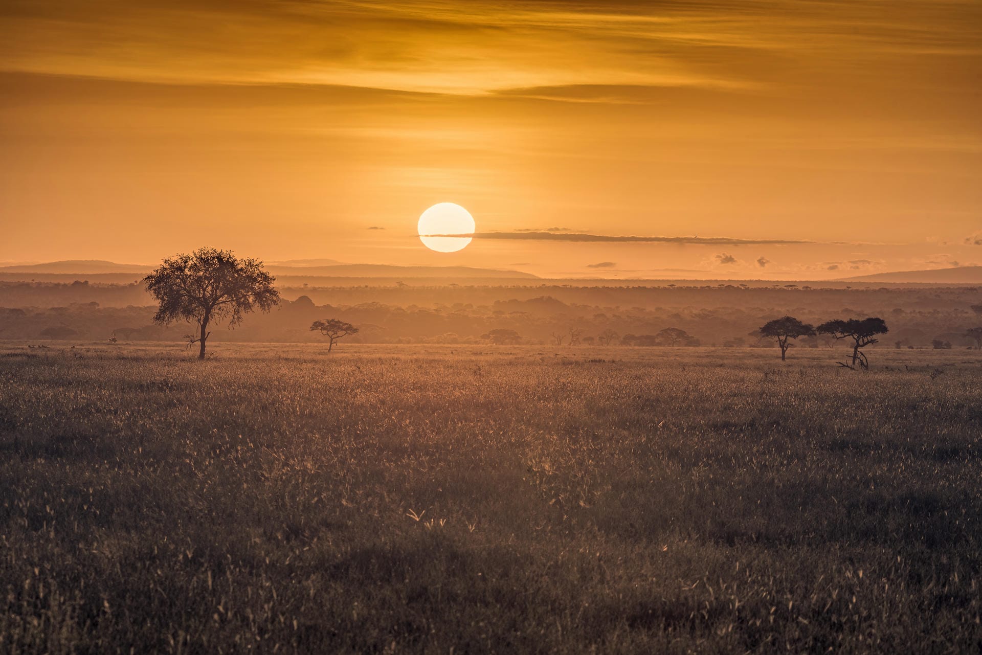 Sonnenuntergang über der Serengeti