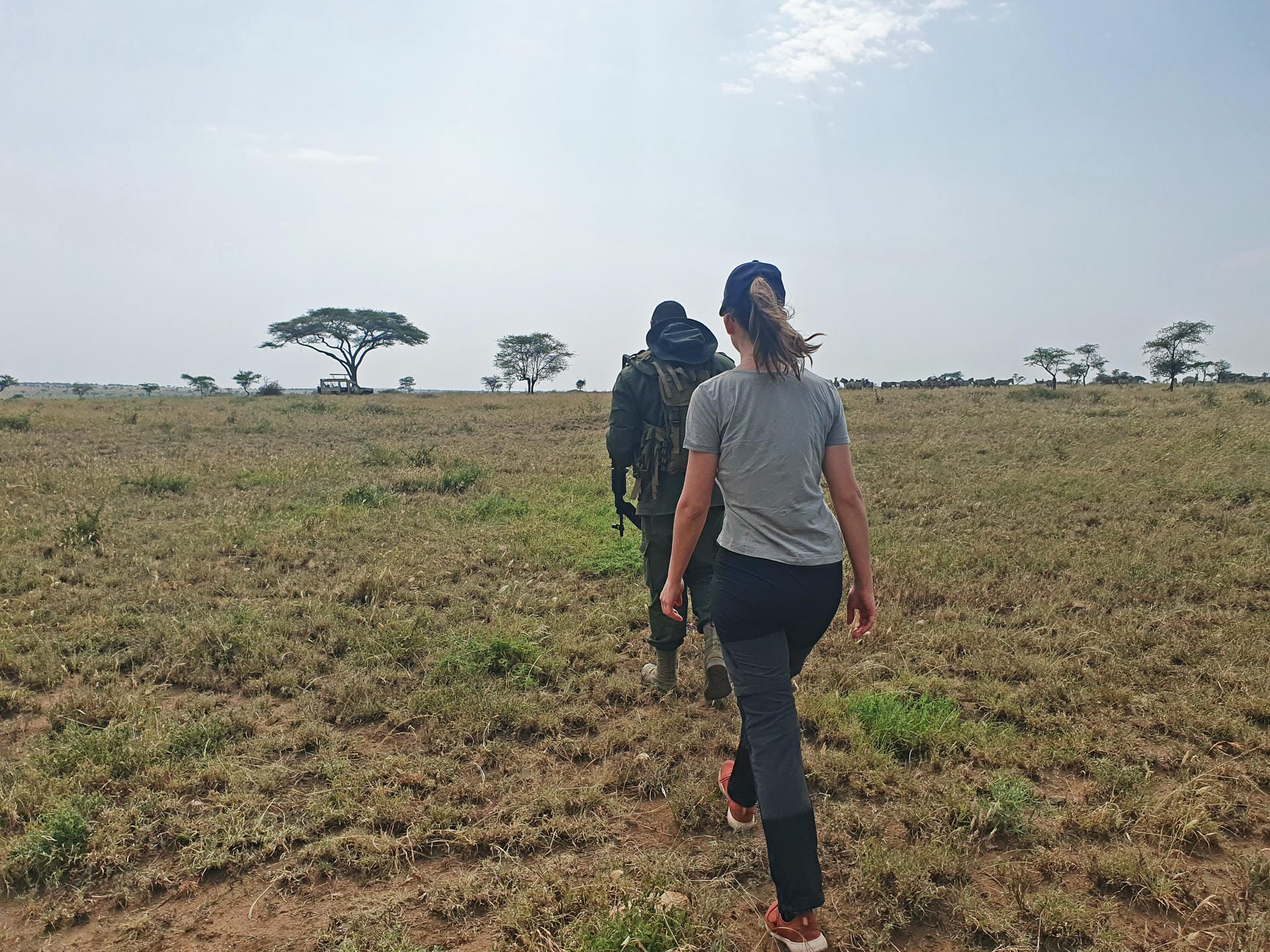 Zu Fuss unterwegs in einer Reihe durch den Nationalpark
