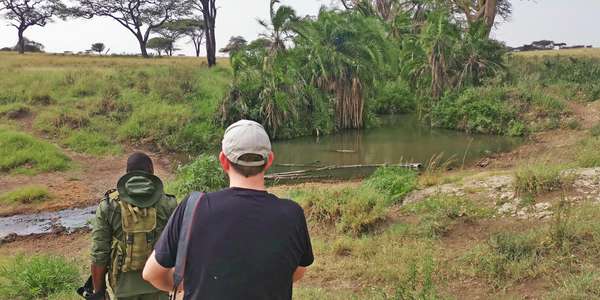 Fly. Safari.