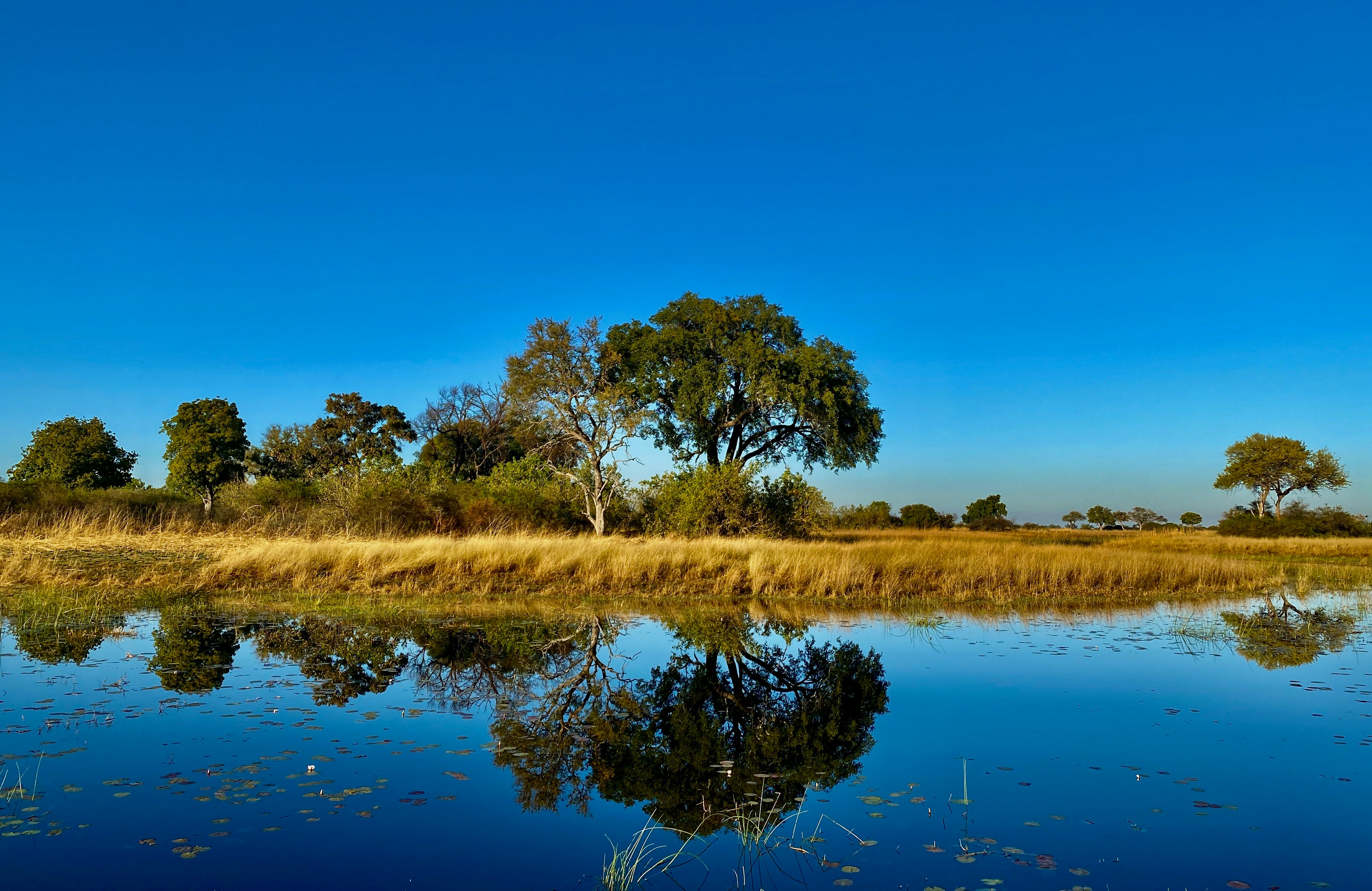 Wasserlandschaft im Okavango Delta