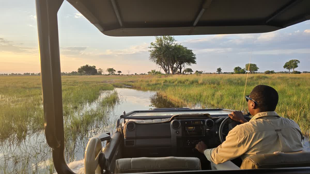 Safari in Botswana