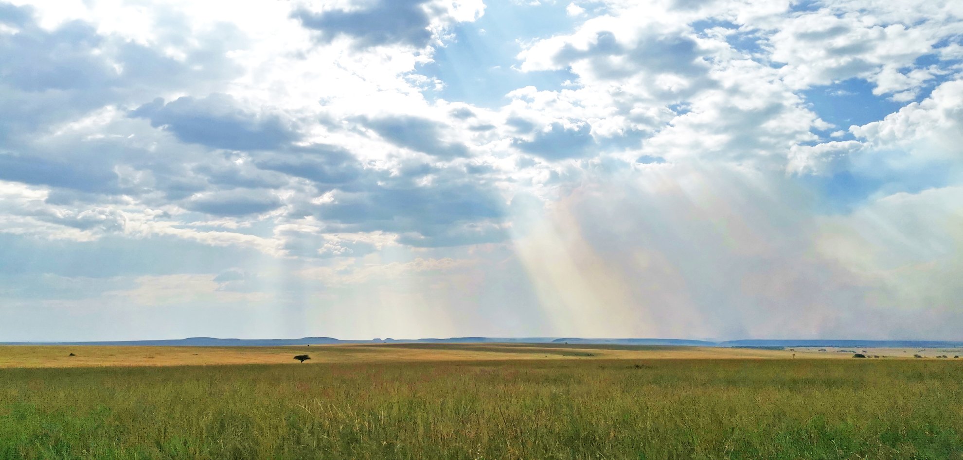 Landschaft in der Masai Mara