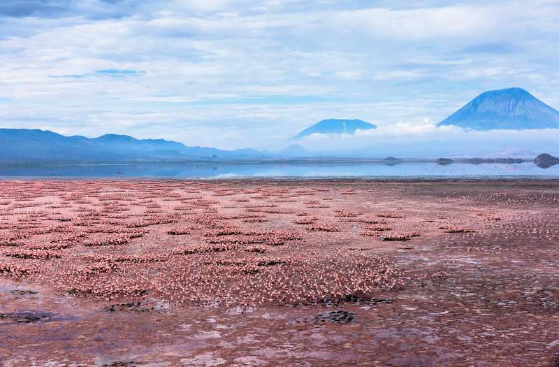 Lake Natron