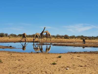 Etosha Nationalpark