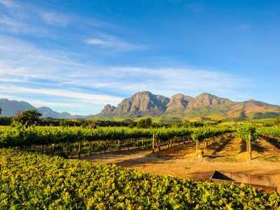 Winelands & Genuss