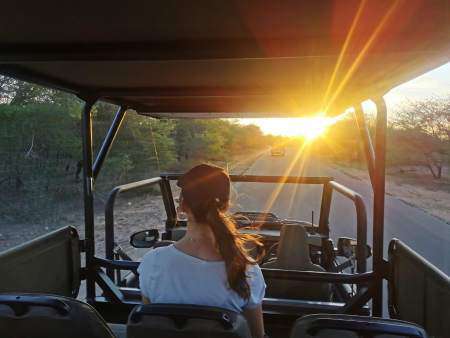 Pirschfahrt durch den Park