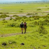 Walking Safari im Amboseli Nationalpark