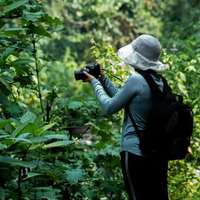 Wanderung im Regenwald von Bwindi
