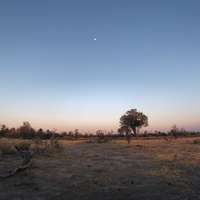 Kalahari landscape