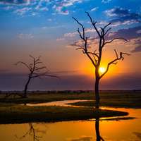 Sunset on the Chobe River