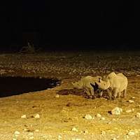 Wasserloch bei Nacht