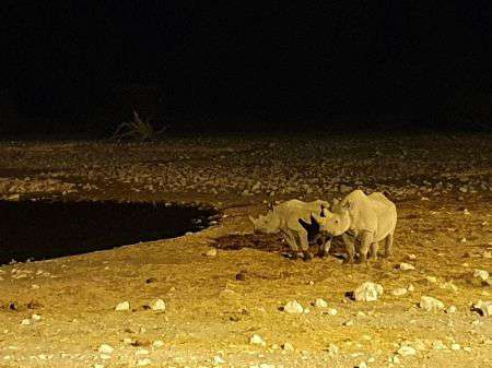 Wasserloch bei Nacht