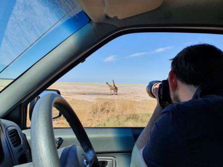 Pirschfahrt im Etosha Nationalpark
