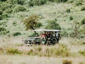 Pirschfahrt im Hluhluwe–iMfolozi Park