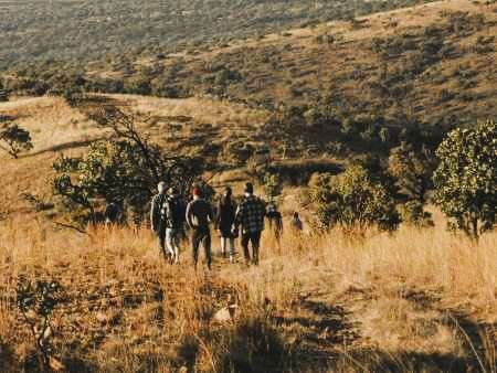 Walking Safari