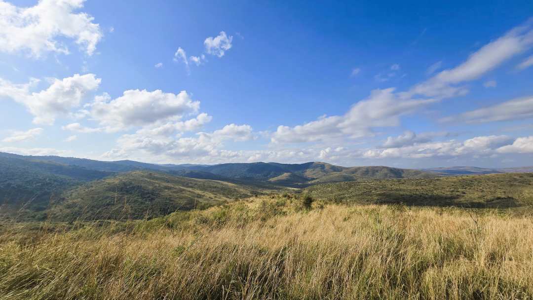 Aussicht über den Park