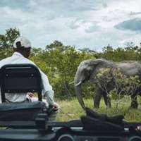 Safari vehicle in Kruger