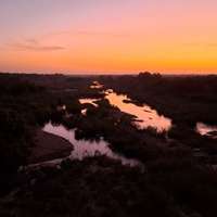 Kruger at night