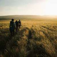 Walking safari