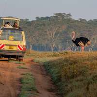 Safari im Lake Nakuru Nationalpark