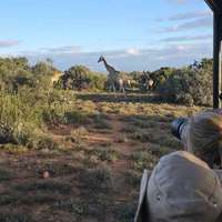 Pirschfahrt durch den Nationalpark