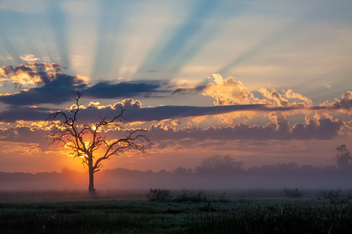 Sunset over the wilderness of Moremi