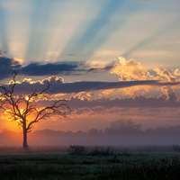 Sunset in Moremi Game Reserve