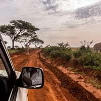 Safari im Murchison Falls Nationalpark