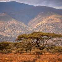 Landschaft Ngorongoro Schutzgebiet