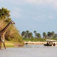 Boot-Safari im Nyerere Nationalpark