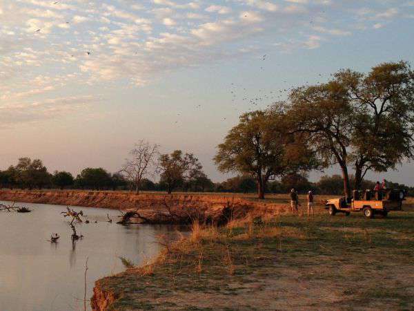 Sundowner im Nyerere Nationalpark