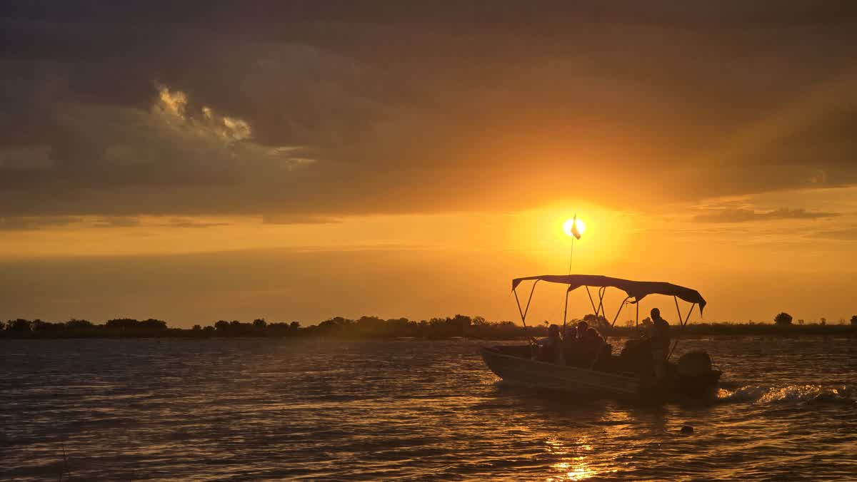 Boat safari at sunset in the Okavango Delta