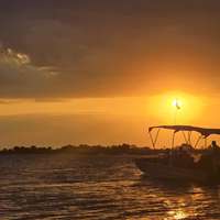 Boat safari at sunset