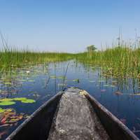 Mokoro safari in the Okavango Delta