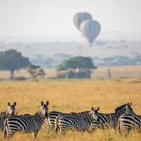 Ballon Safari über der Savanne