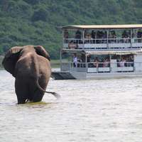 Bootsafari auf dem Kazinga-Kanal