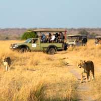Pirschfahrt im Queen Elizabeth Nationalpark