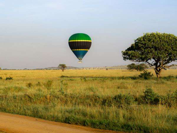 Ballon Safari über der Savanne