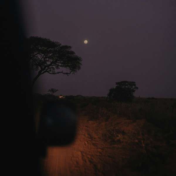 Nachtpirschfahrt im Nationalpark
