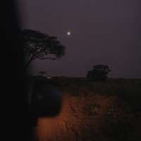 Nachtpirschfahrt im Nationalpark